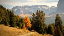 Desktop image. Nature. ID:166795