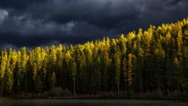 Desktop image. Nature. ID:166797