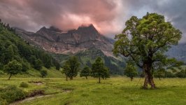 Desktop image. Nature. ID:166886