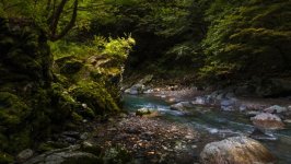 Desktop image. Nature. ID:166888