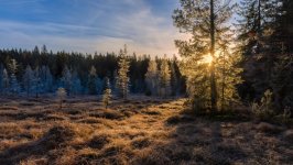 Desktop image. Nature. ID:166940