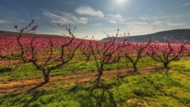 Desktop image. Nature. ID:166941