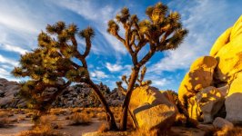 Desktop image. Nature. ID:166951