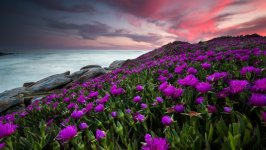 Desktop wallpaper. Nature. ID:166977