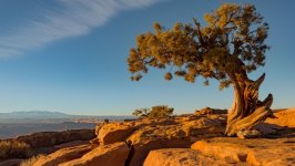 Desktop image. Nature. ID:167081