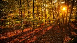 Desktop image. Nature. ID:168042