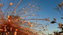 Desktop image. Nature. ID:168261