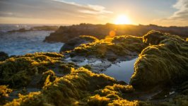 Desktop image. Nature. ID:168653