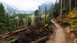 Desktop image. Nature. ID:168698