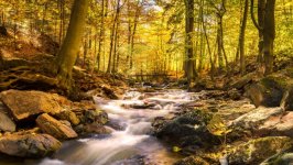Desktop image. Nature. ID:168812