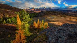Desktop image. Nature. ID:169152