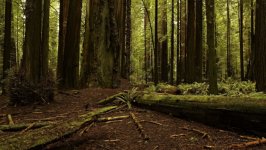 Desktop image. Nature. ID:169259