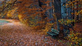 Desktop image. Nature. ID:169668