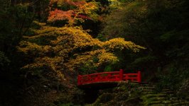 Desktop image. Nature. ID:169677