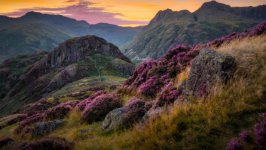 Desktop image. Nature. ID:169698