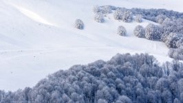 Desktop image. Nature. ID:169713