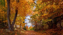 Desktop image. Nature. ID:169819