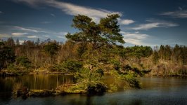 Desktop image. Nature. ID:169820