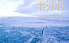 Desktop wallpaper. Arctic Tale. ID:38729
