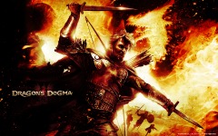 Desktop wallpaper. Dragon's Dogma. ID:39897