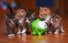 Desktop wallpaper. Cats. ID:79859