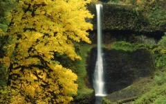 Desktop image. Waterfalls. ID:42697