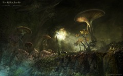 Desktop image. Elder Scrolls Online, The. ID:47103