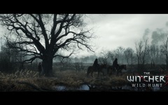 Desktop image. Witcher 3: Wild Hunt, The. ID:47122