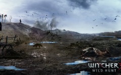 Desktop wallpaper. Witcher 3: Wild Hunt, The. ID:47123