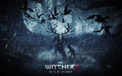 Desktop wallpaper. Witcher 3: Wild Hunt, The. ID:47124