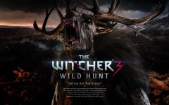 Desktop wallpaper. Witcher 3: Wild Hunt, The. ID:47127