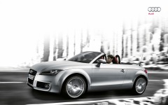 Desktop wallpaper. Audi TT Roadster 2013. ID:39635