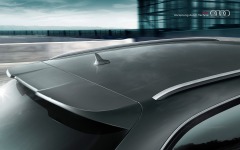 Desktop image. Audi RS 6 Avant 2013. ID:39460