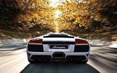 Desktop image. Lamborghini. ID:74833