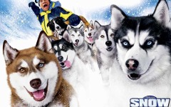 Desktop wallpaper. Snow Dogs. ID:4935