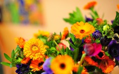 Desktop image. Flowers. ID:52769