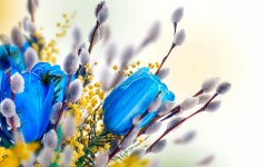 Desktop image. Flowers. ID:55820