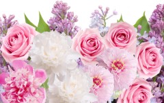 Desktop image. Flowers. ID:57277