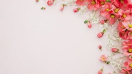 Desktop wallpaper. Flowers. ID:120811
