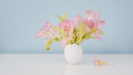 Desktop image. Flowers. ID:129199
