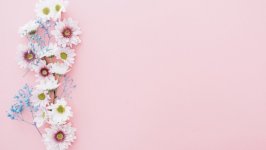 Desktop wallpaper. Flowers. ID:141284