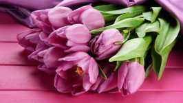 Desktop wallpaper. Flowers. ID:164661