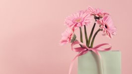 Desktop image. Flowers. ID:167103