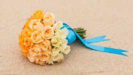 Desktop image. Flowers. ID:167151