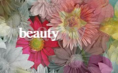 Desktop image. Flowers. ID:4622