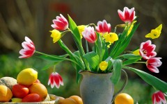 Desktop image. Flowers. ID:4732
