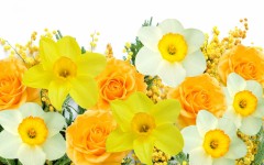 Desktop image. Flowers. ID:50589