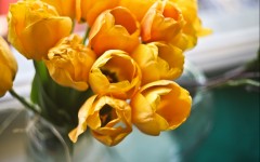 Desktop image. Flowers. ID:51276