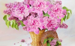 Desktop image. Flowers. ID:51680