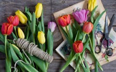 Desktop image. Flowers. ID:52730
